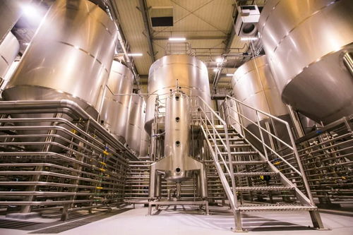 亚太首家精酿工厂探秘 上海Bang带你解锁工业与美食的完美融合